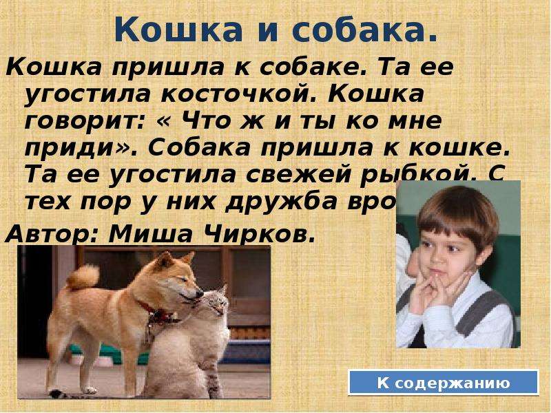 План рассказа про кошку