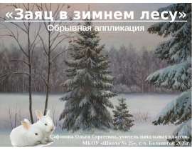 Аппликация (1 класс)