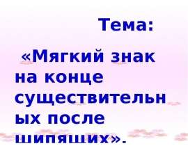 Мягкий знак на конце существительных после шипящих