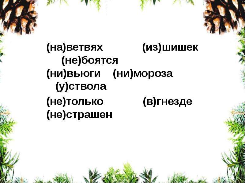 Обучающее изложение 3 класс клесты презентация 3 класс