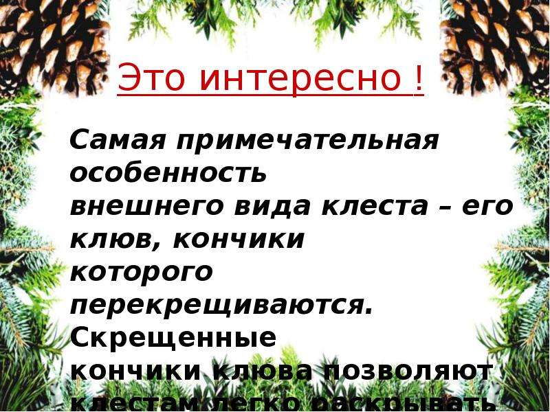 Обучающее изложение 3 класс клесты презентация 3 класс