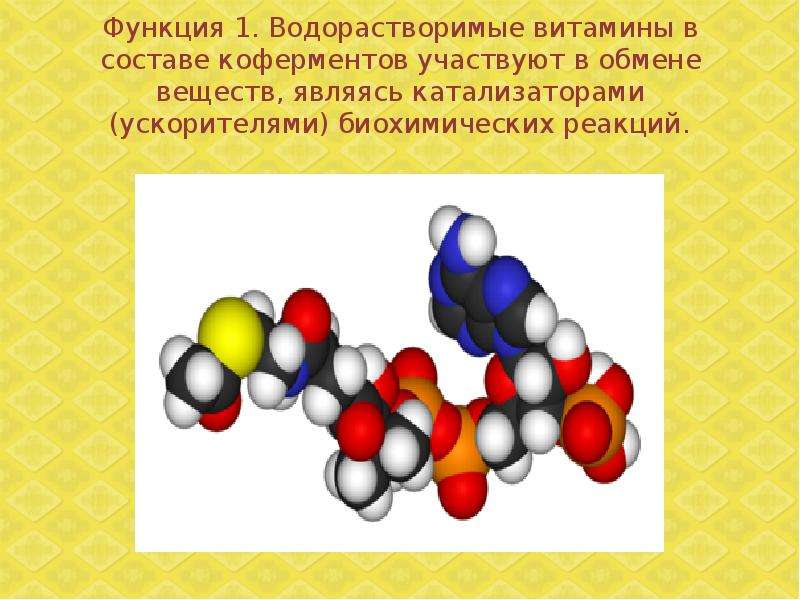 Водорастворимые и жирорастворимые витамины схема