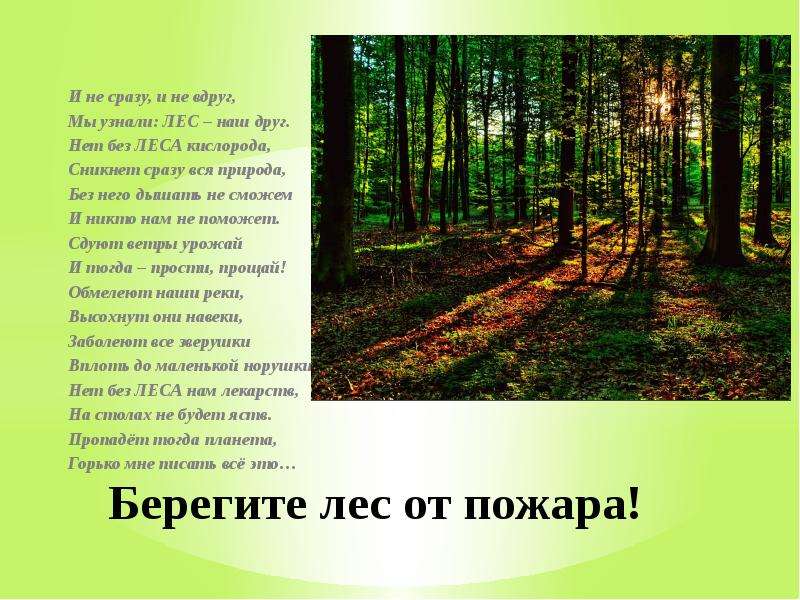 Лес другими словами. Лес наш друг. Презентация на тему берегите лес. Презентация лес наш друг. Доклад на тему берегите лес.