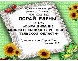 Выращивание можжевельника в условиях Тульской области