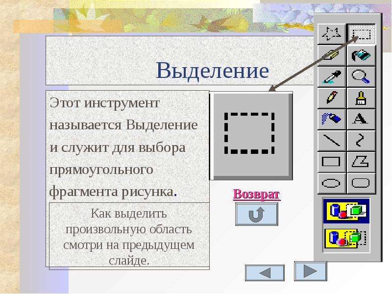 В произвольном растровом изображении. Рисунок с выделением фрагментов. Инструменты выделения. Инструменты для выделения фрагмента изображения. Способы выделения фрагмента рисунка.