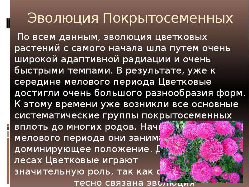 Отдел покрытосеменные общая характеристика и значение 6 класс пономарева презентация