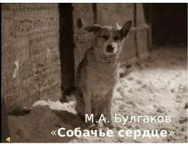 Собачье сердце