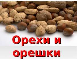 Орехи и орешки