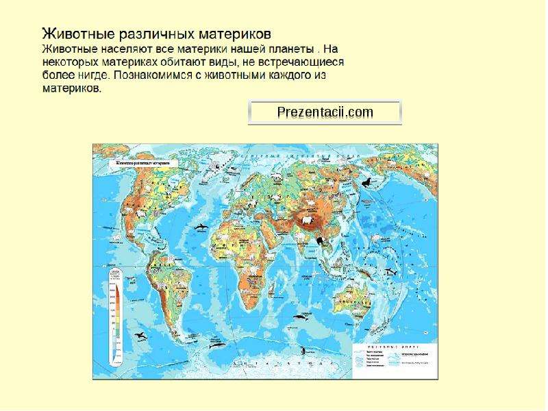 На каком материке обитает. Растения и животные разных материков. Материки и животные на этих материках. На каком материке обитает як. На каком материке живет скунс на карте мира.