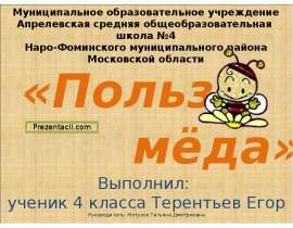 Скачать презентацию Польза меда
