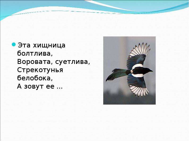 Впиши недостающие заголовки в план текста милая сердцу береза