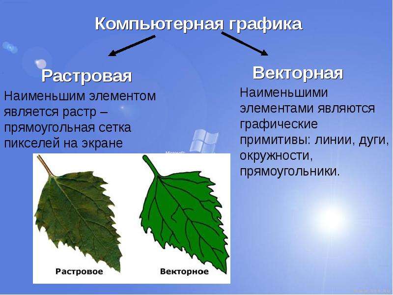 Растровая графика и векторная графика 7 класс презентация