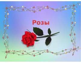 Роза