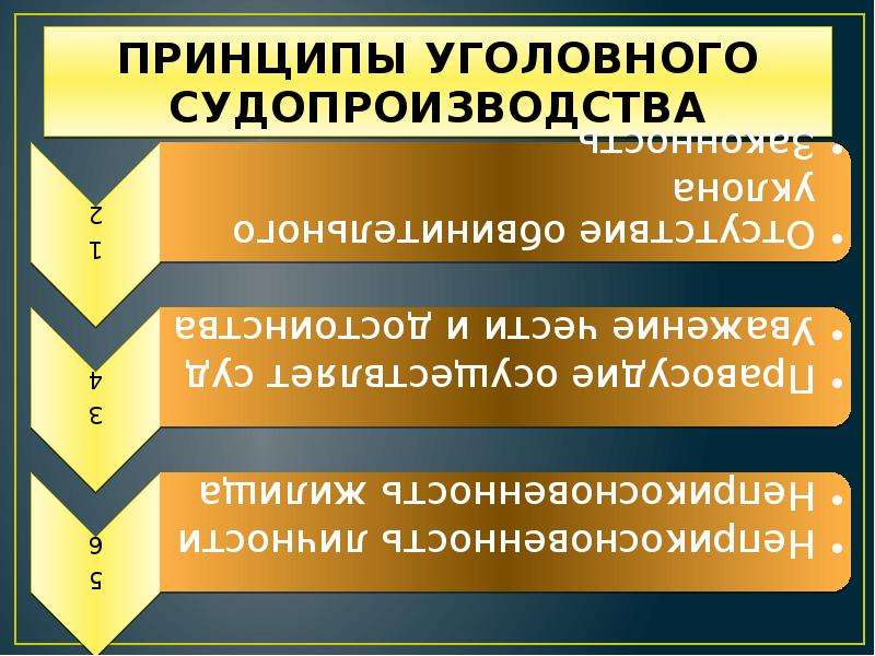 Процессуальное право уголовный процесс 11 класс презентация