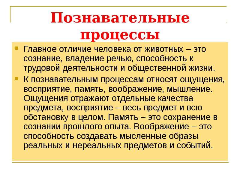 Познавательные процессы презентация 8 класс биология