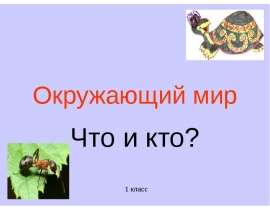 Хвойные деревья