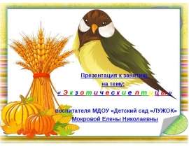 Экзотические птицы
