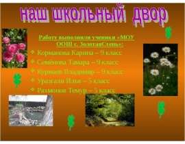 Наш школьный двор