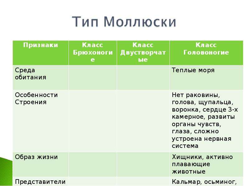 Головоногие таблица. Особенности строения и образа жизни мидии. Класс головоногие среда обитания. Тип моллюски образ жизни. Среда обитания головоногих моллюсков.