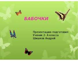 Бабочки