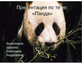 Панда