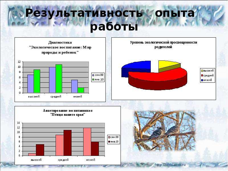 Диаграмма птиц