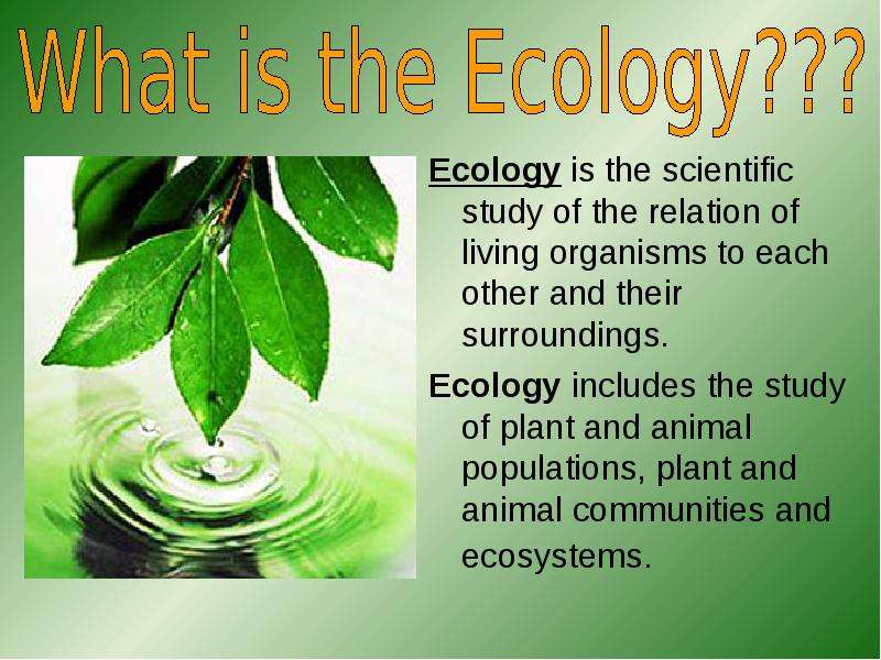 Ecological problems схема