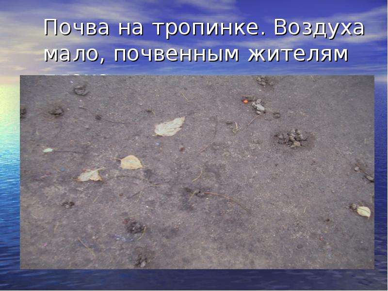 Воздушная почва. Влияние почвы на воздух. Воздух в почве. Воздух в почве презентация. Обнаружение воздуха в почве.