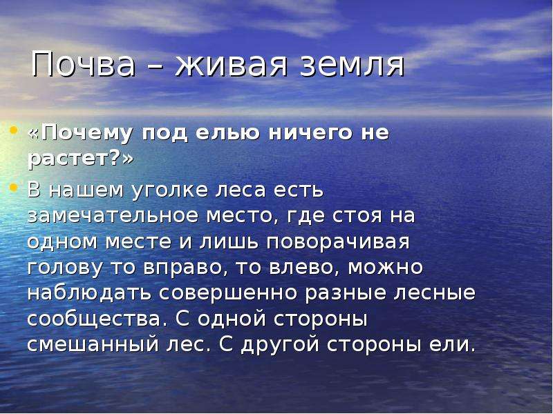 Место где ничего не растет