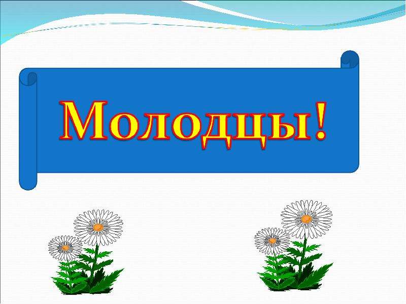 Растение живой организм. Презентация на тему растения. Презентация на тему растения 5 класс. Презентация представление о растениях.