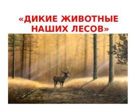 Дикие животные наших лесов