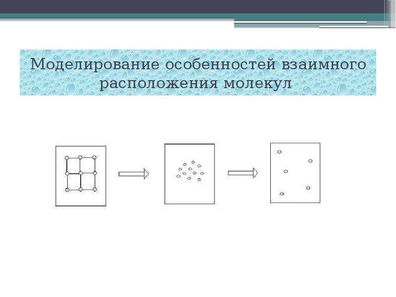 Моделирование веществ. Взаимное расположение молекул. Особенности моделирования в физике. Число и особенности взаимного расположения элементов цветка.