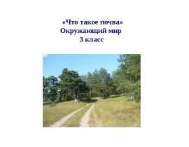 Что такое почва?