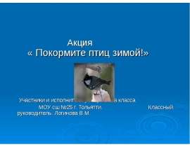 Покормите птиц зимой! (1 класс)