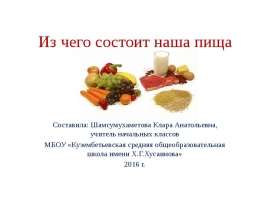 Из чего состоит наша пища