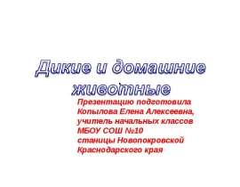 Дикие и домашние животные 1 класс