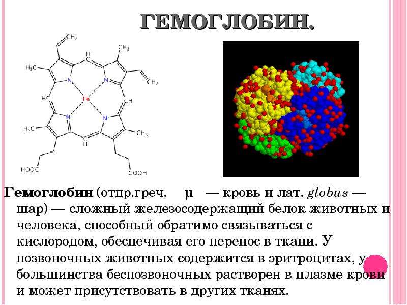 Гемоглобин химия презентация