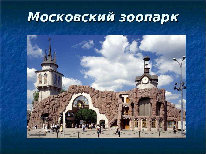 Проект московский зоопарк 3 класс