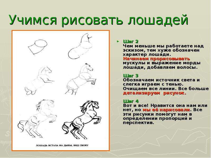 Реферат на тему эскиз