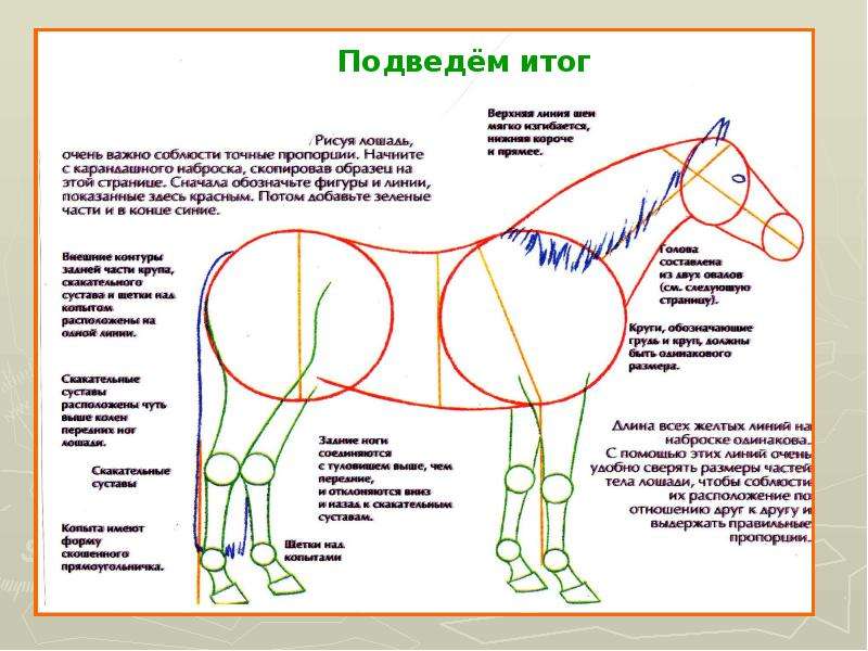 Как называется начало рисунка