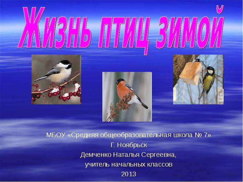 Презентация птицы 1 класс