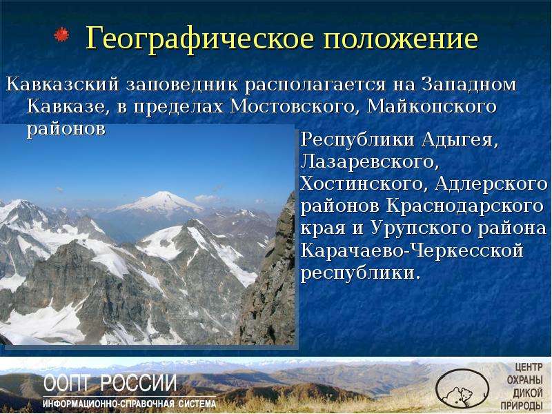 Доклад: Кавказский заповедник