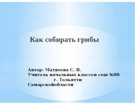 Как собирать грибы