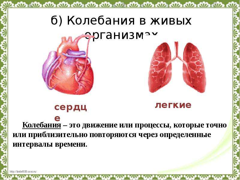 Презентация колебательные движения