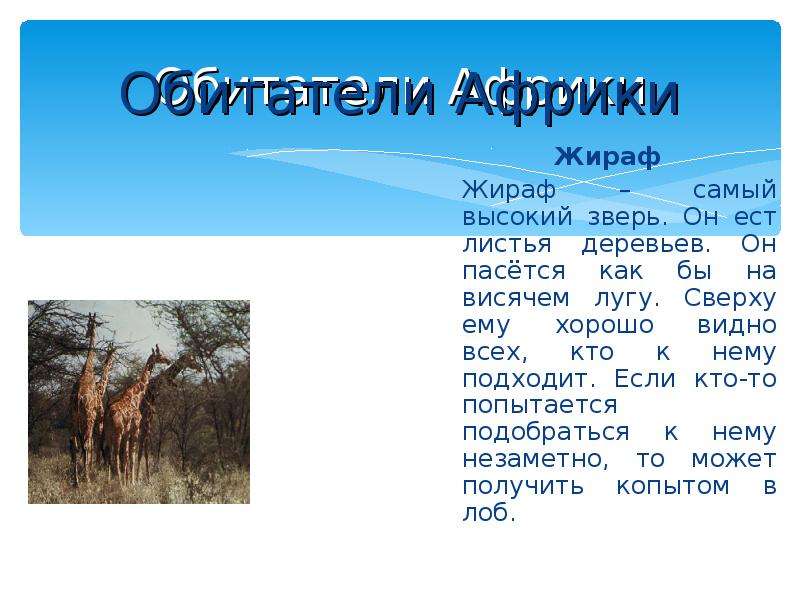 2 материка африка. Сообщение про Африку. Африка презентация. Рассказ о Африке. Презентация на тему Африка.