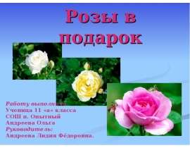 Розы в подарок