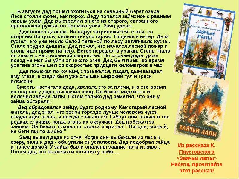 Чему учит рассказ паустовского заячьи лапы. Рассказ заячьи лапы. К. Паустовский "заячьи лапы". Произведение заячья лапка Паустовский. В августе дед пошел охотиться на Северный берег.