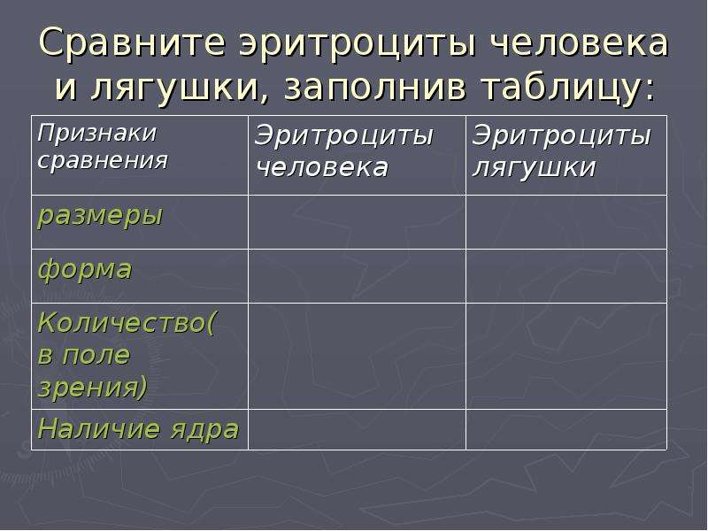 Количество в поле зрения. Эритроциты лягушки и человека сравнение. Сравните эритроциты человека и лягушки. Сравнение эритроцитов человека и эритроцитов лягушки. Размер эритроцитов лягушки.