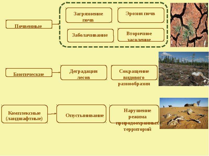 Виды загрязнения почвы. Загрязнение почвы эрозия. Причины загрязнения и деградации почв. Деградация почв причины. Факторы вызывающие деградацию почв.