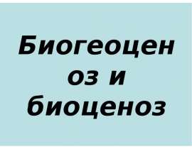 Скачать презентацию Биогеоценоз и биоценоз